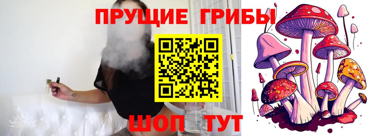 Псилоцибиновые грибы Cubensis  Вход с VPN  Донской 